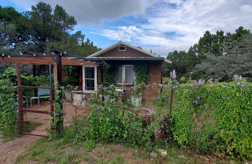 Magdalena Cabin | The Hideaway Cabin