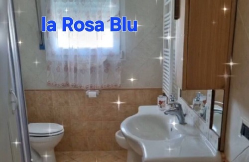 Torre del Lago Puccini Apartment | The House of Seagulls