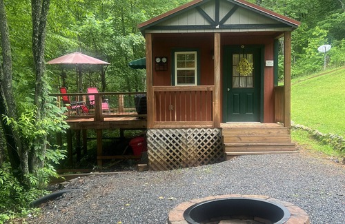 Hayesville Cottage | The Hummingbird Hideaway in Shooting Creek. Pet Friendly!