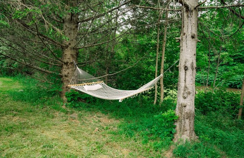 Hunter Cabin | The Hunter River Cabin