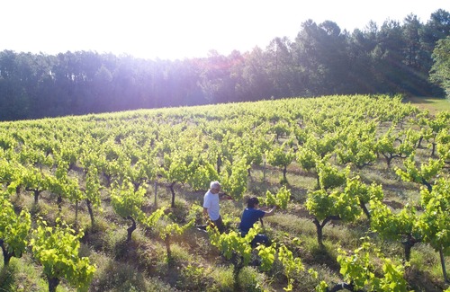 Mormoiron House | The Kings Slackers Nature Cottage Ventoux 4 to 9 Pers, 8ha of greenery, plan of water