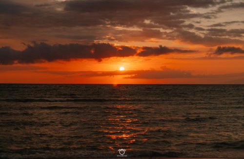 Sigar Penjalin Hotel | The Kori Sire