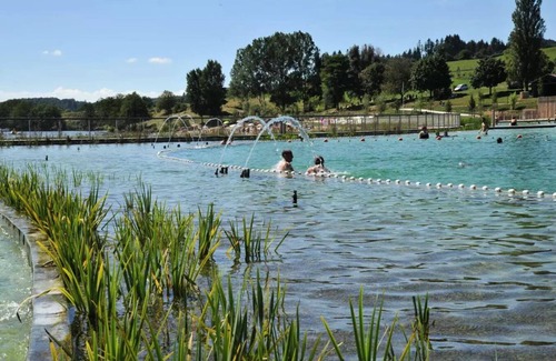 Cublize House | The Lac des Sapins * - Mobile-Home FAMILY PREMIUM 6 people