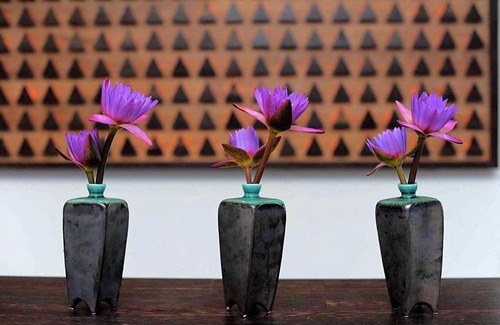 Anuradhapura Hotel | The Lake Forest Hotel