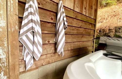 Langley House | The Langley Loft: Modern Barn + Close to Downtown + Hot Tub + Cozy Island Vibes