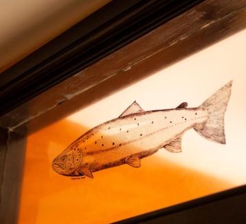 Clearbrook Hotel | The Leaping Salmon