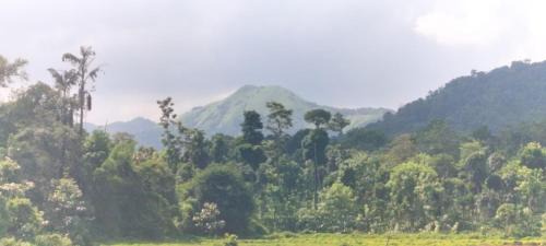 Bhagamandala House | The Linger Farm