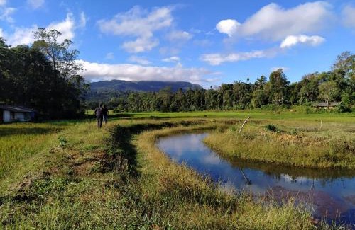 Bhagamandala House | The Linger Farm