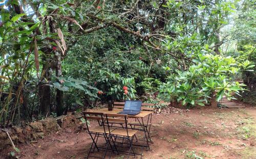 Bhagamandala House | The Linger Farm