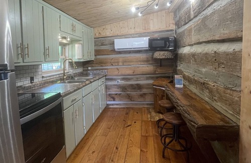Dandridge Cabin | The Little Cabin on the peaceful lake cove! With a boat dock and fire pit!