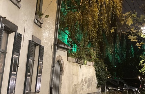Veeweide House | The Little Green House in the cobbled street