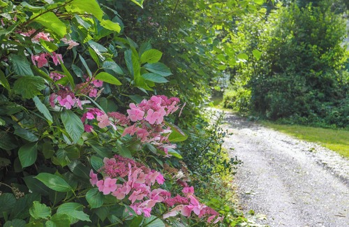 Gyrngoch Cottage | THE LODGE AT TAL ERYR, pet friendly, with a garden in Clynnog Fawr