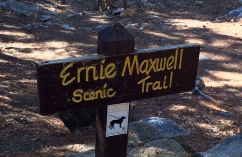 Fern Valley Cabin | THE LODGE on San Jacinto Spa, A/C & Dog Friendly! Adventure Passes provided!