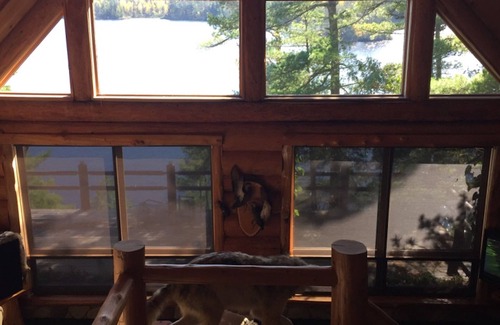 International Falls Cabin | The Log Cabin on Rainy Lake