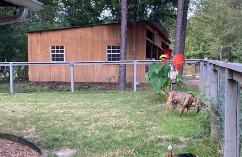 Oxford House | THE LOVE NEST at HOLLY GROVE FARM-Retreat only 10 minutes from The Square