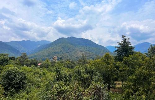 Gunehr House | The Luna