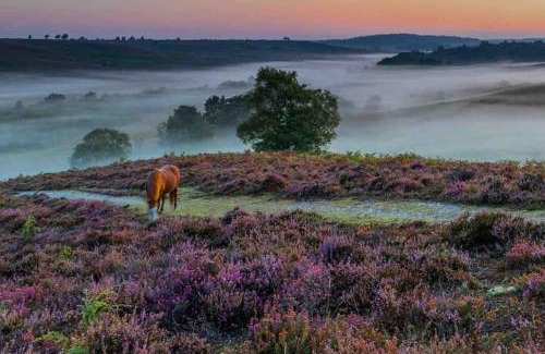 New Forest District House | The Lymington Hub Slps 13 hot tub/chef/spa
