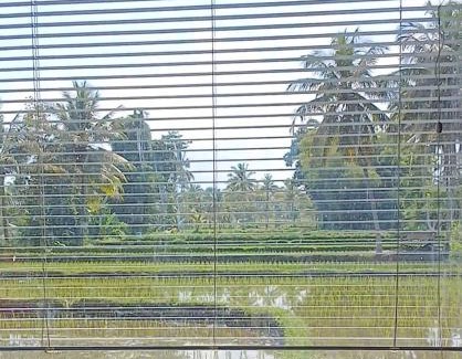 Kecamatan Pringgasela Hotel | The Mandalika Rinjani Lombok