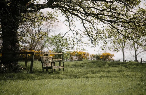 Hallington House | The Manor House , Shortflatt Tower , Belsay
