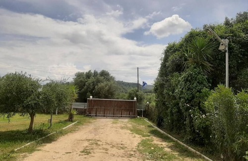 Archaia Olympia House | The Mansion of Dionisos and Dimitras 2