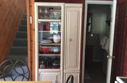 Carbondale Cabin | The McClure House - A Cowboy Cabin in the Woods. Pets stay free!
