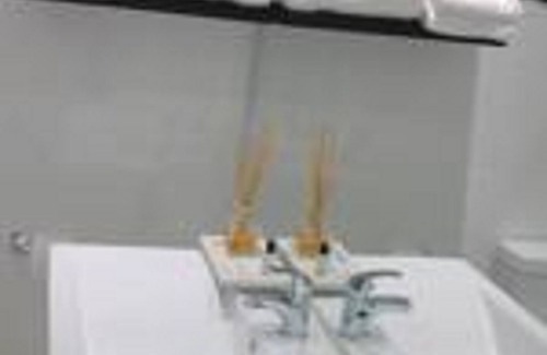 Kitwe House | The Milford Lodge