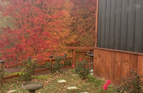 Lansing Apartment | The Mountaineer Lodge