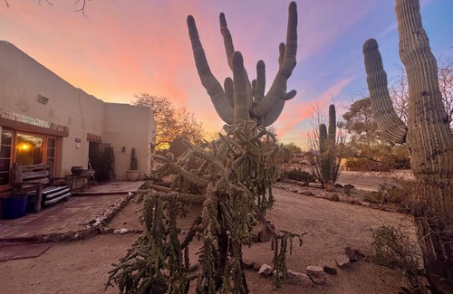 Tucson House | The "Mud House" - A beautiful southwest adobe home