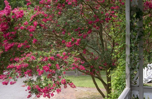 Murfreesboro House | The Murfree-Williams House An Historic Experience