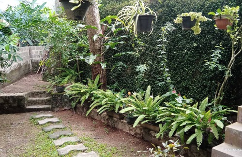 Wanchawala Villa | The Nature with nature