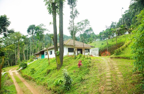 Madikeri Cabin | The Nest Bettathur, Coorg Ct 003
