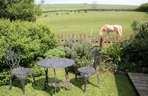 Stokeinteignhead House | The Nest - Thatched seaside country cottage for two