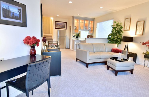 Mount Park Apartment | The New Remodeled deluxe 1bd has a view, ac, heat fireplace, in great location.