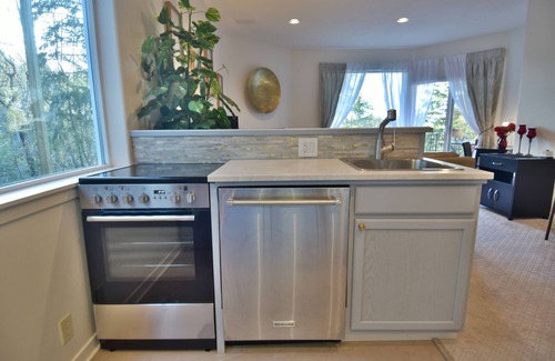 Mount Park Apartment | The New Remodeled deluxe 1bd has a view, ac, heat fireplace, in great location.