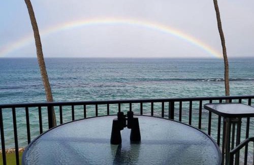 Honokowai Apartment | The Noniluna Two - Sleeps 9 plus Pack N Play