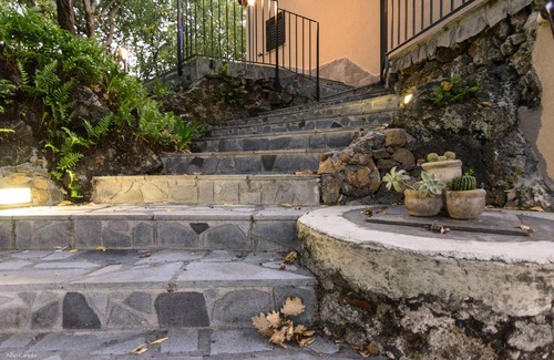 Randazzo House | The oak house