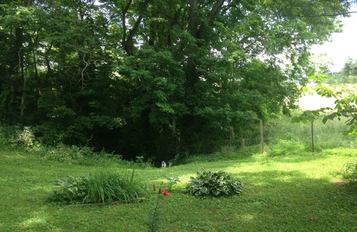 Middleburg House | The Orchard-A Place to get Away and Relax at our cozy,remodeled, historic house.