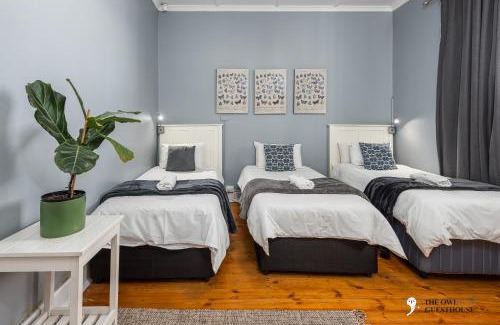 Newton Park Apartment | The Owl on 5th