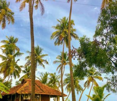 Kasaragod District Resort | The Oyster Opera