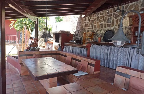 Icod de los Vinos Villa | The Palm Villa: A Canarian Oasis in Icod de los Vinos.