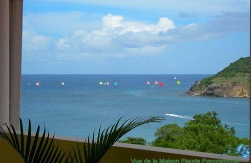Les Anses-d'Arlets Villa | ' The Panoramic and Flowery Residence, IMPREGNABLE View, CLIM, WIF