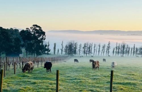 Coldstream House | The Pavilion Yarra Valley luxury country retreat