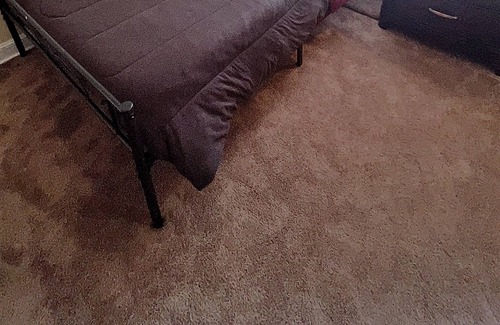Columbia Apartment | The Pecan Suite - Entire Apartment