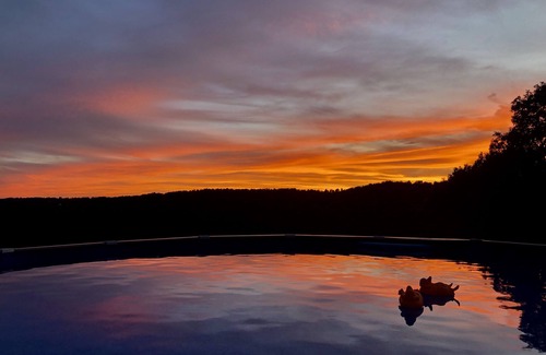 Mt. Sherman House | The Perch Family Cabin|Sleeps 18 |Pool + Hot tub with a View