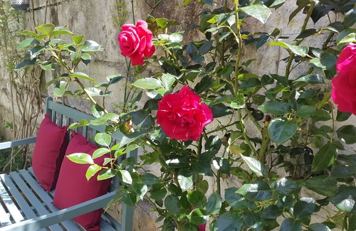 Loches Bed & Breakfast | The perfect and peaceful place to stay in South Touraine (France) - Loch'House