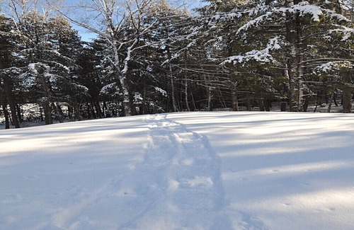 Trent Lakes Cottage | The perfect winter escape for couples or small families!