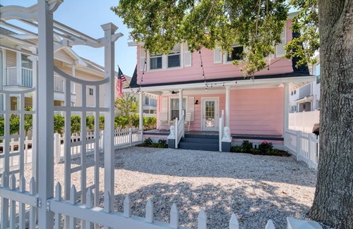 Downtown Dunedin House | The Pink Highland House | Downtown Dunedin
