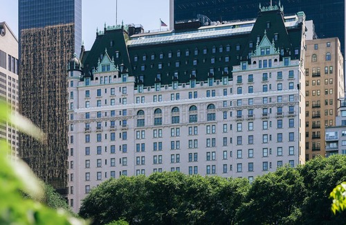 Central Park South Apartment | The Plaza-Carnege Suites, 5th. Avenue and Central Park