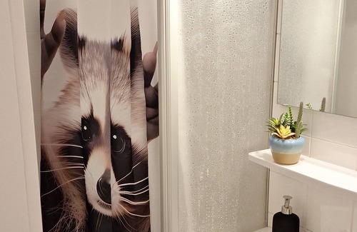 Schluchsee Apartment | "The Raccoon Cave" - Apt. with balcony & pool