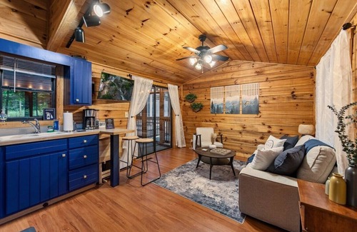 Blairsville Cabin | the racoons nest in Copperhead Lodge
